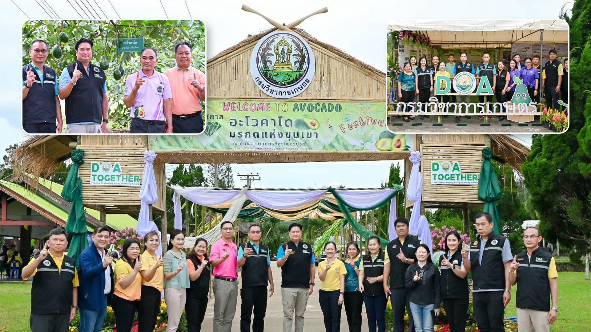 กรมวิชาการเกษตร ยกระดับคุณภาพ“อะโวคาโด มรกตแห่งขุนเขา” ขยายผลการถ่ายทอดเทคโนโลยีการผลิต พร้อมคุมเข้ม การลักลอบนำเข้าอะโวคาโด ตามนโยบายสงครามกับสินค้าเกษตรผิดกฎหมาย 1 กรมวิชาการเกษตร ยกระดับคุณภาพ2