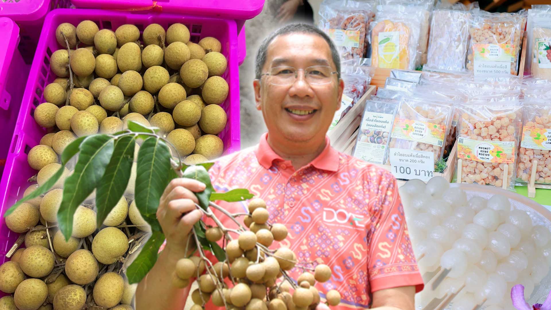 กรมส่งเสริมการเกษตร นำเกษตรกรสร้างรายได้ ขายลำไยแล้ว 11 ตัน 1 กรมส่งเสริมการเกษตร3 1