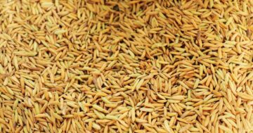 ครม.เคาะ2