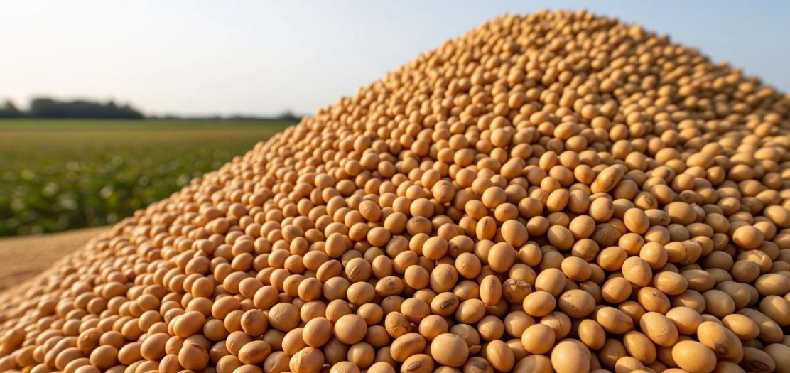 ไทยรับมือภาษีทรัมป์ เกษตรฯ ชู 3 หลักการปกป้องเกษตรกร พร้อมรักษาขีดความสามารถทางการค้า 4 ถั่วเหลือง