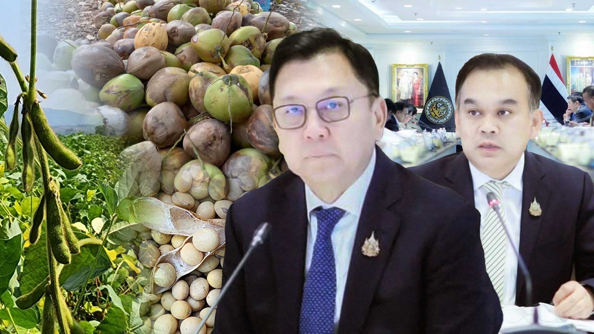 บอร์ดพืชน้ำมันฯ ไฟเขียวเปิดโควตานำเข้า 3 กลุ่มสินค้า กากถั่วเหลือง-เมล็ดถั่วเหลือง-มะพร้าว กำหนดกรอบ 3 ปี พร้อมวางกลไกสร้างสมดุล ยกระดับรายได้เกษตรกร 1 บอร์ดพืชน้ำมันฯ2