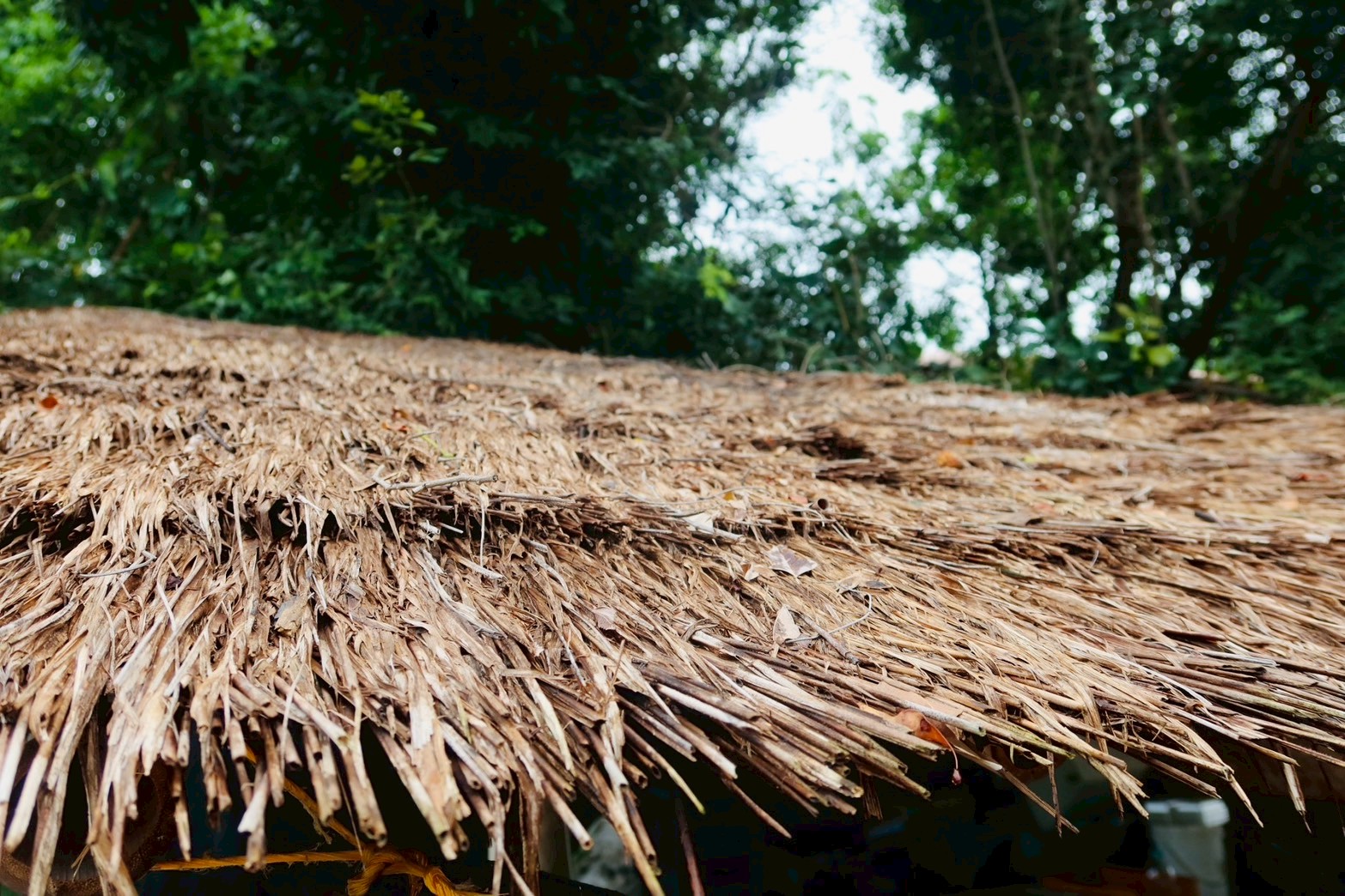 กรมพัฒนาที่ดิน หนุนเกษตรกร “ปลูกหญ้าแฝก” ฟื้นฟูดิน เสริมศักยภาพกักเก็บน้ำ ปลูกพืชหลากหลาย สร้างรายได้ยั่งยืน 11 ภาพพด10 0