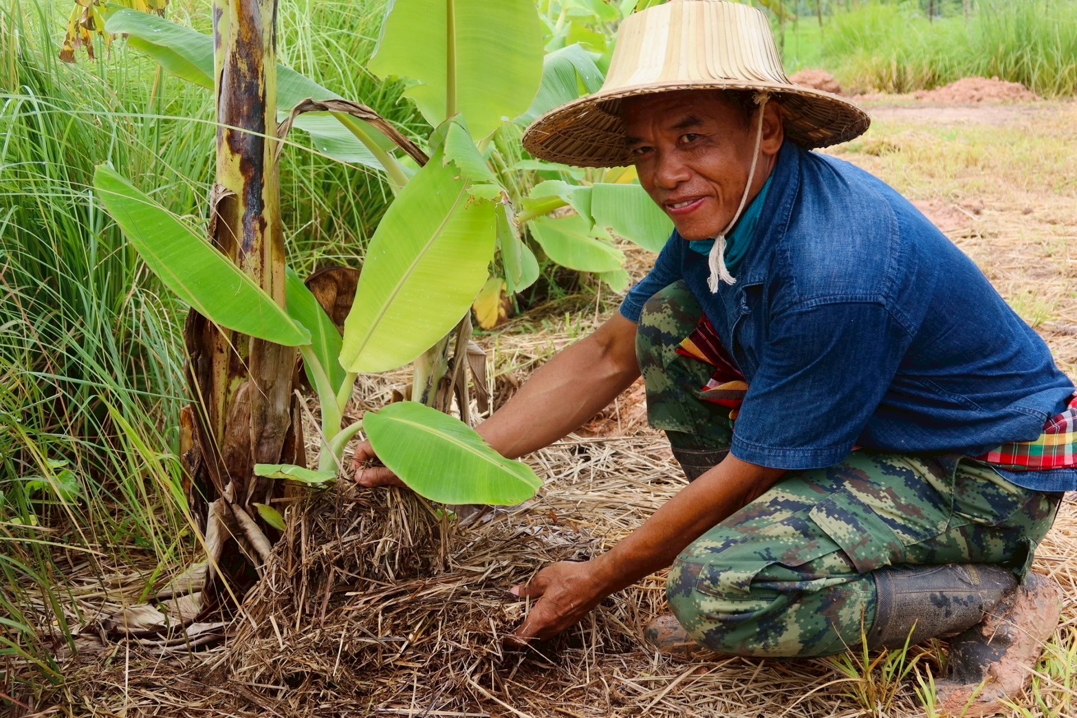 กรมพัฒนาที่ดิน หนุนเกษตรกร “ปลูกหญ้าแฝก” ฟื้นฟูดิน เสริมศักยภาพกักเก็บน้ำ ปลูกพืชหลากหลาย สร้างรายได้ยั่งยืน 4 ภาพพด3 0