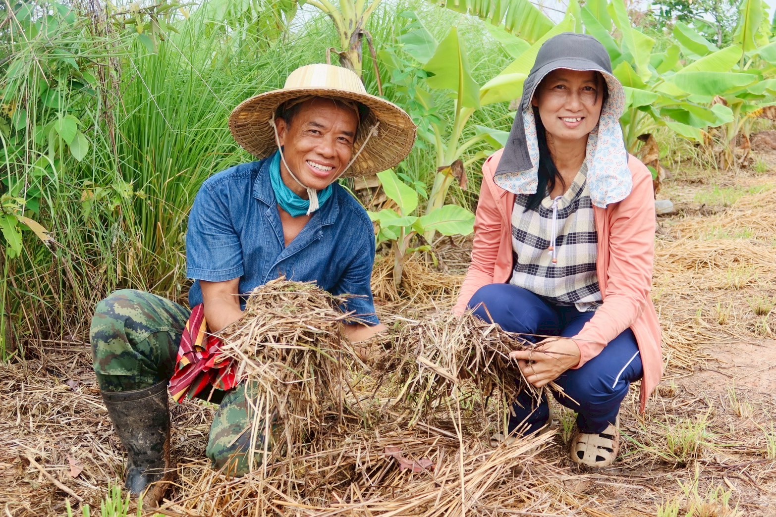 กรมพัฒนาที่ดิน หนุนเกษตรกร “ปลูกหญ้าแฝก” ฟื้นฟูดิน เสริมศักยภาพกักเก็บน้ำ ปลูกพืชหลากหลาย สร้างรายได้ยั่งยืน 5 ภาพพด4 0