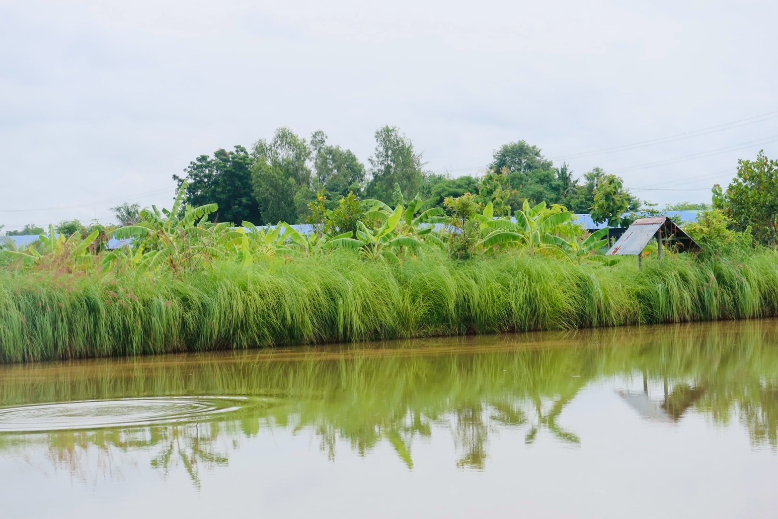 กรมพัฒนาที่ดิน หนุนเกษตรกร “ปลูกหญ้าแฝก” ฟื้นฟูดิน เสริมศักยภาพกักเก็บน้ำ ปลูกพืชหลากหลาย สร้างรายได้ยั่งยืน 9 ภาพพด8 0