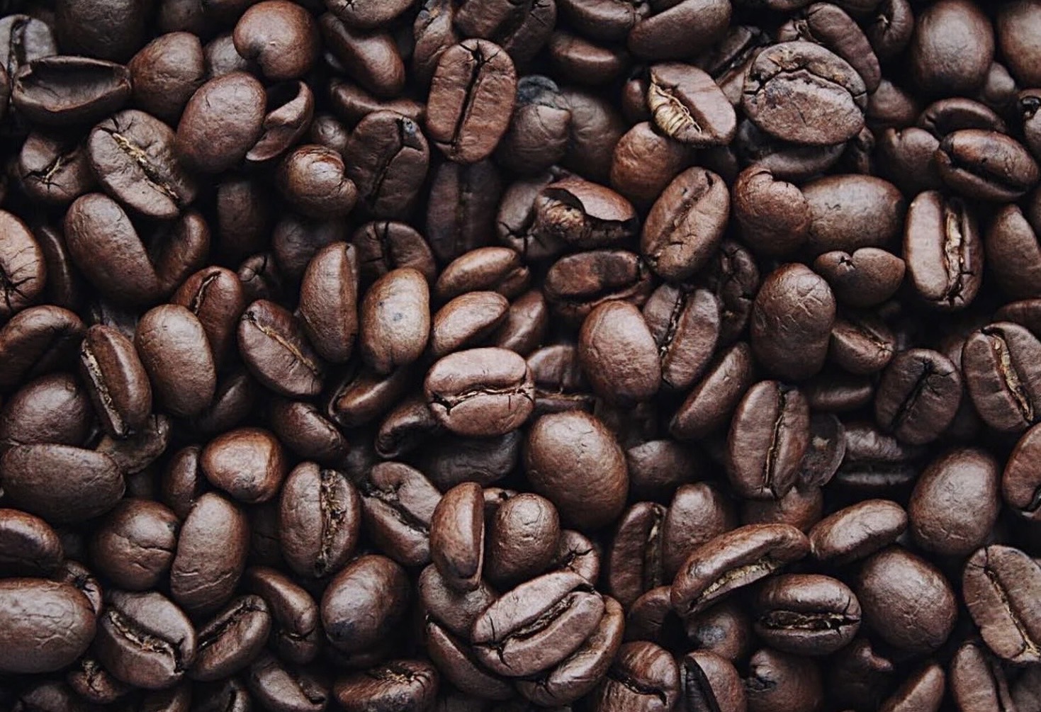 ARDA เปิดตัว 9 โครงการยกระดับสินค้าเกษตรไทย “ปลอดการทำลายป่า” พร้อมบุกตลาด EU ภายใต้กฎระเบียบ EUDR 5 ภาพสวก11