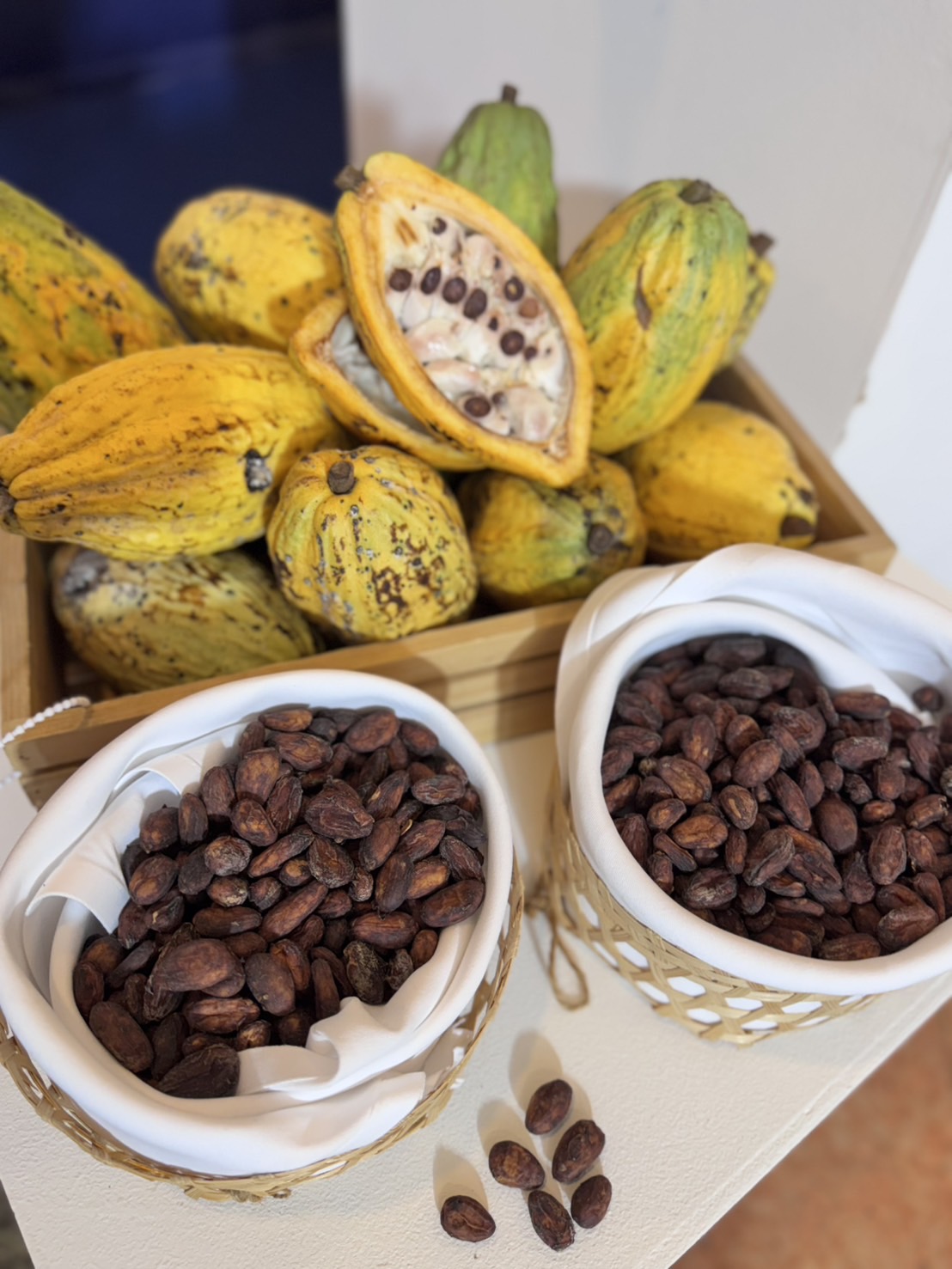 ARDA เปิดตัว 9 โครงการยกระดับสินค้าเกษตรไทย “ปลอดการทำลายป่า” พร้อมบุกตลาด EU ภายใต้กฎระเบียบ EUDR 6 ภาพสวก12