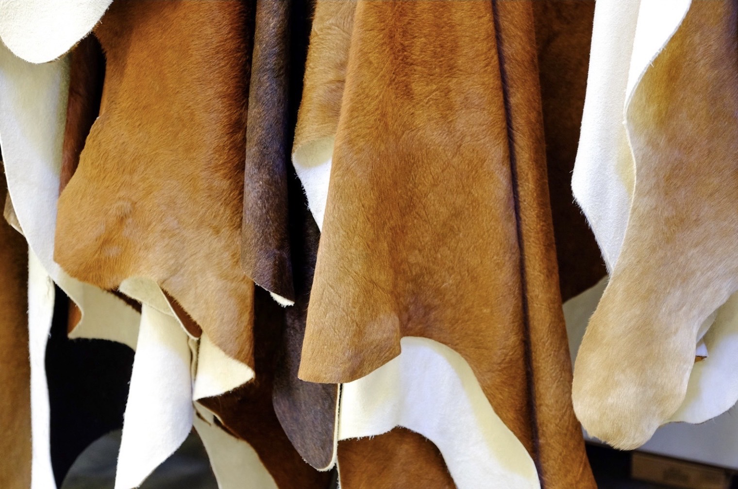 ARDA เปิดตัว 9 โครงการยกระดับสินค้าเกษตรไทย “ปลอดการทำลายป่า” พร้อมบุกตลาด EU ภายใต้กฎระเบียบ EUDR 8 ภาพสวก14