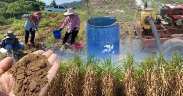 ยกระดับผลผลิตอ้อย3