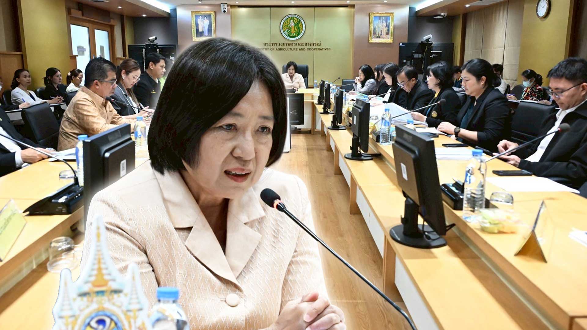 รองปลัดเกษตรฯ เปิดประชุมคณะกรรมการบริหารนโยบายสินค้าเกษตรและบริการมูลค่าสูง 1 ท้องถิ่น 1 สินค้าเกษตรมูลค่าสูง ครั้งที่ 2/2568 1 รองปลัดเกษตรฯ ประชุม3