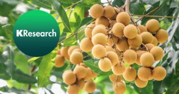 ศูนย์วิจัยกสิกรไทย2