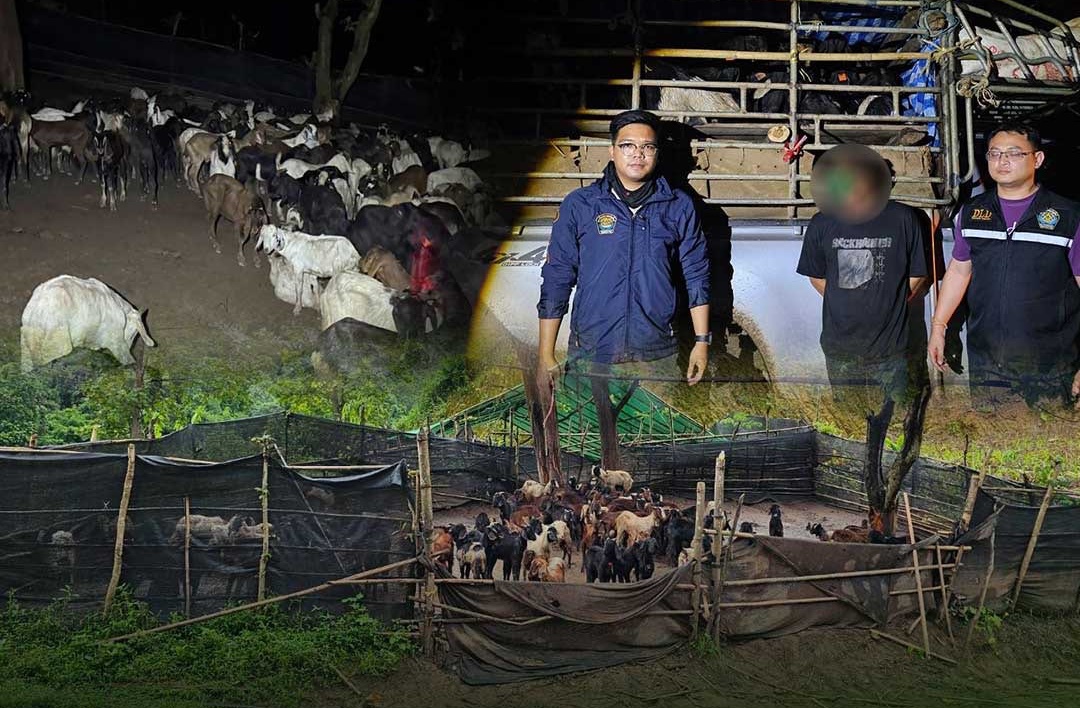 “พญานาคราช” หมัดน็อคหรือแค่ไฟฉายส่องเงา 4 สด 12