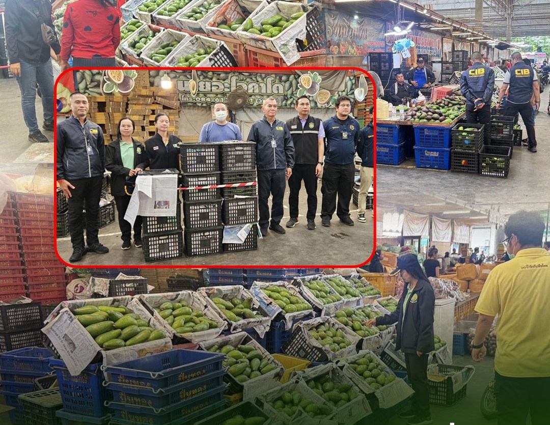 “พญานาคราช” หมัดน็อคหรือแค่ไฟฉายส่องเงา 7 สด 6