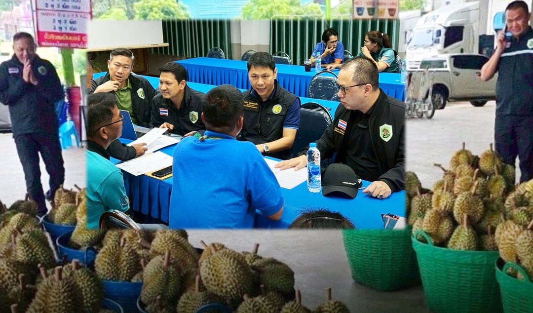 “พญานาคราช” หมัดน็อคหรือแค่ไฟฉายส่องเงา 2 สด 8