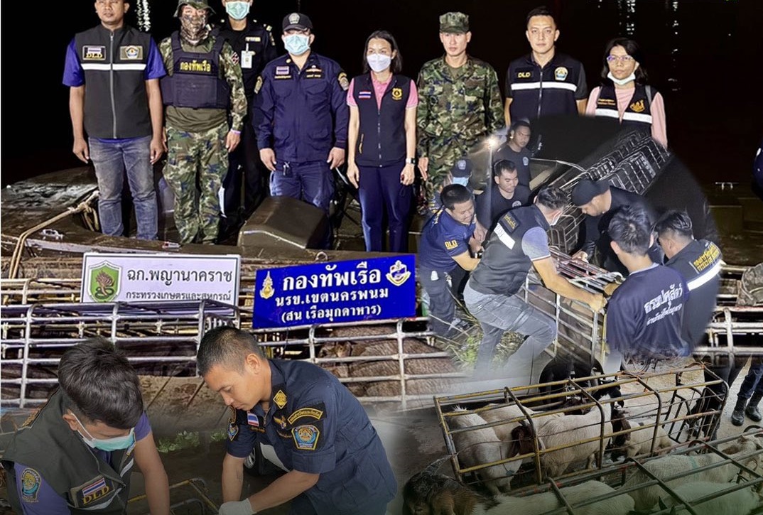 “พญานาคราช” หมัดน็อคหรือแค่ไฟฉายส่องเงา 12 สด 9