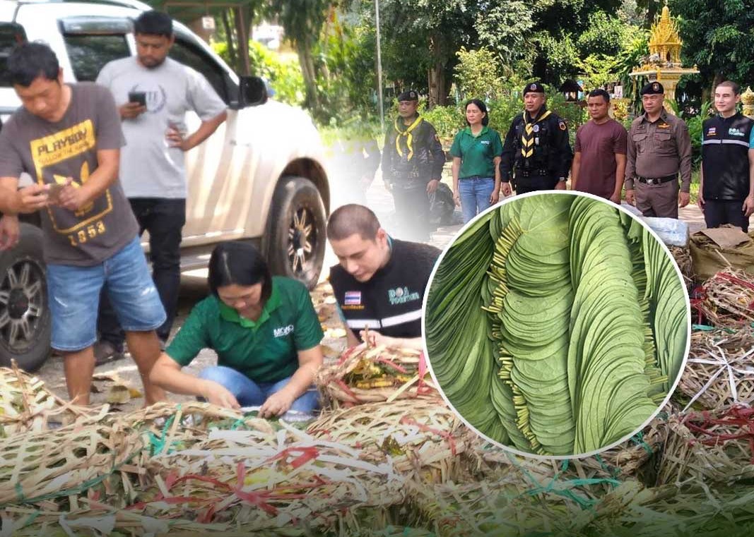 “พญานาคราช” หมัดน็อคหรือแค่ไฟฉายส่องเงา 6 สด