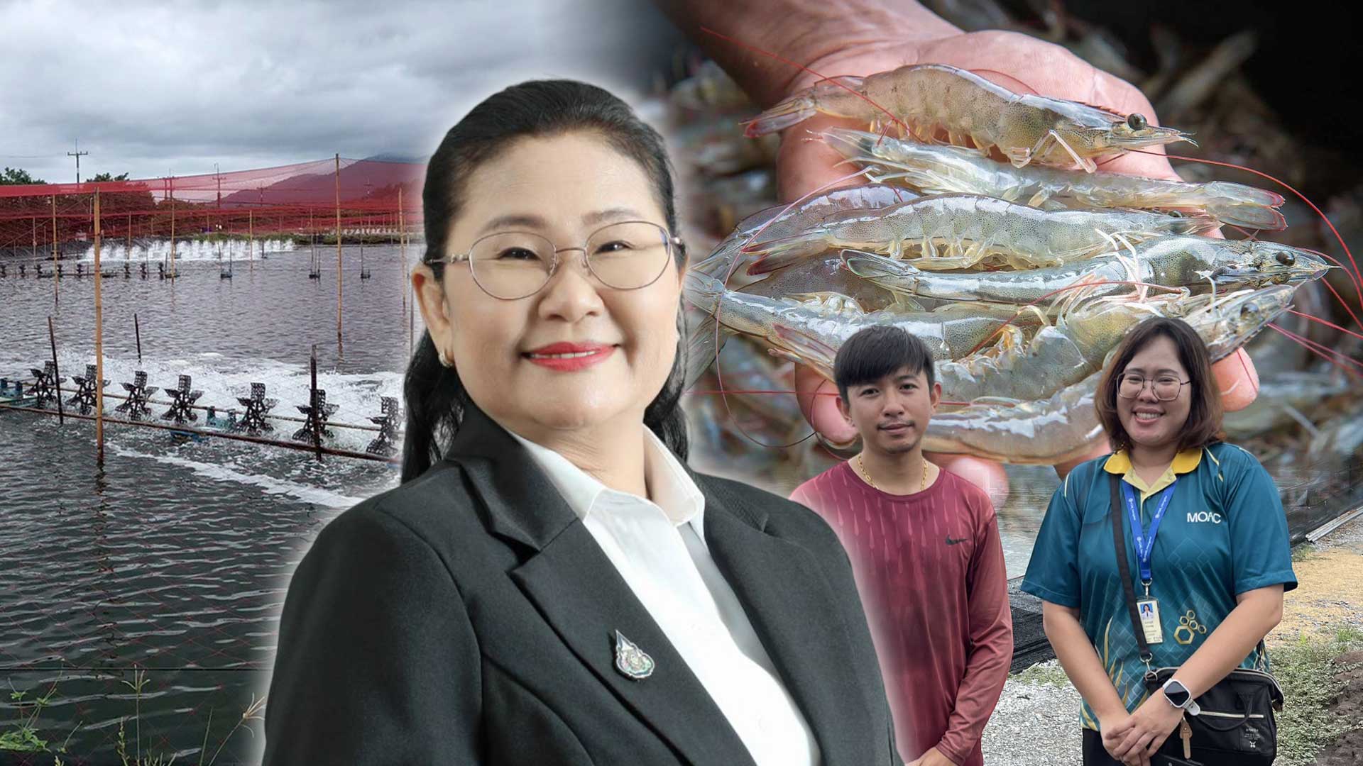 สศก. ลงพื้นที่สมุทรสาคร หนุนเกษตรกรเลี้ยงกุ้งขาวแวนนาไม GAP ชี้ได้เปรียบทั้งคุณภาพและความปลอดภัย 1 สศกลงพื้นที่สมุทรสาคร3