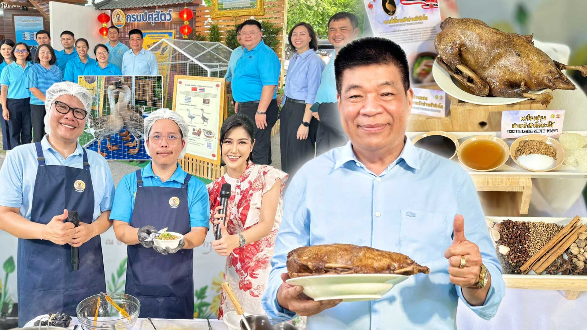 ห่านหัวสิงโต3