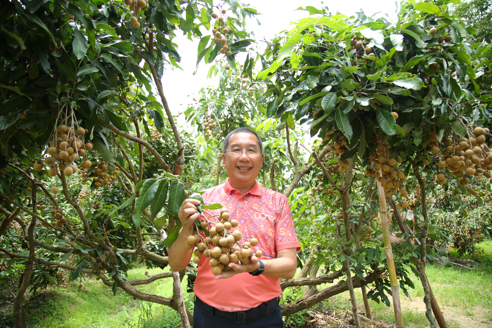 กรมส่งเสริมการเกษตร นำเกษตรกรสร้างรายได้ ขายลำไยแล้ว 11 ตัน 2 อธิบดีกรมส่งเสริมการเกษตร 2