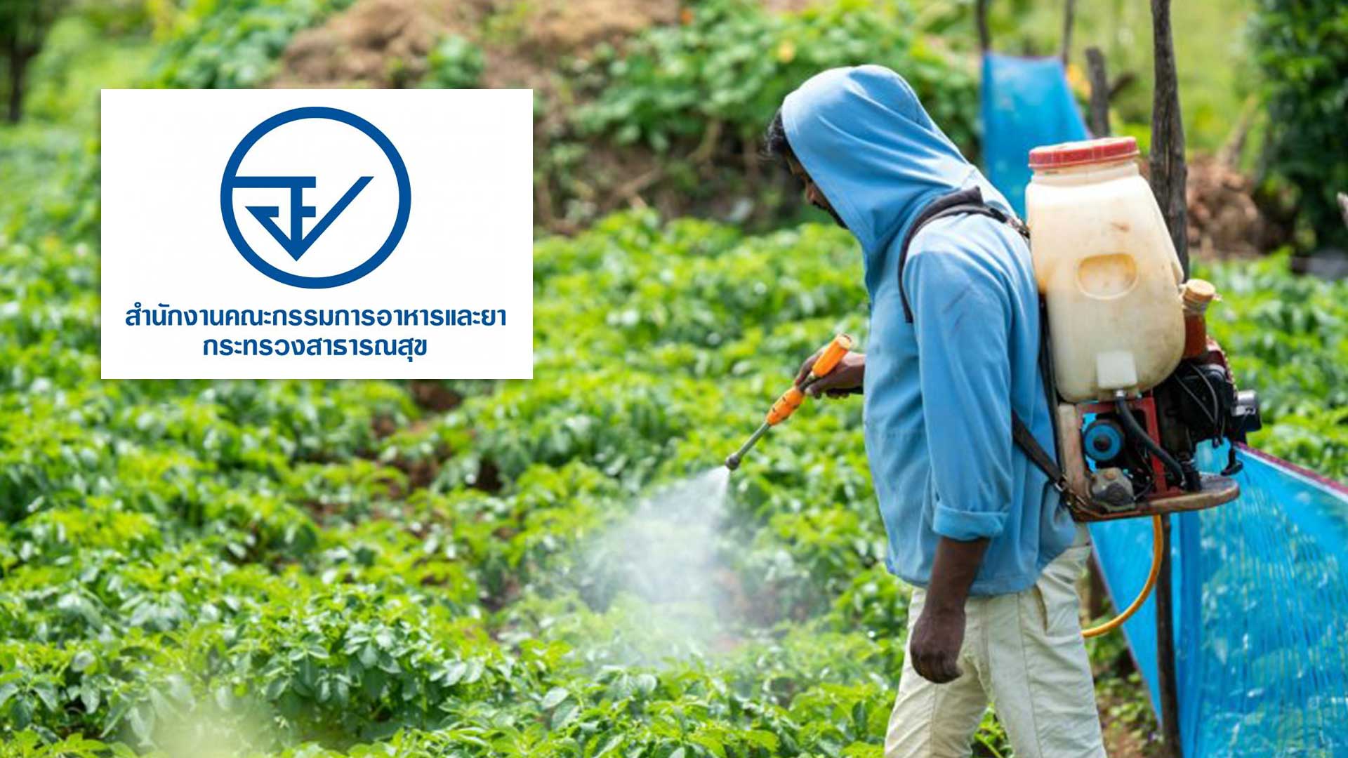 อย. ยกระดับความปลอดภัยอาหาร ประกาศใหม่คุมเข้ม อย3