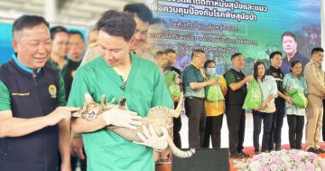 อรรถกร สวมบทหมอเบนซ์2