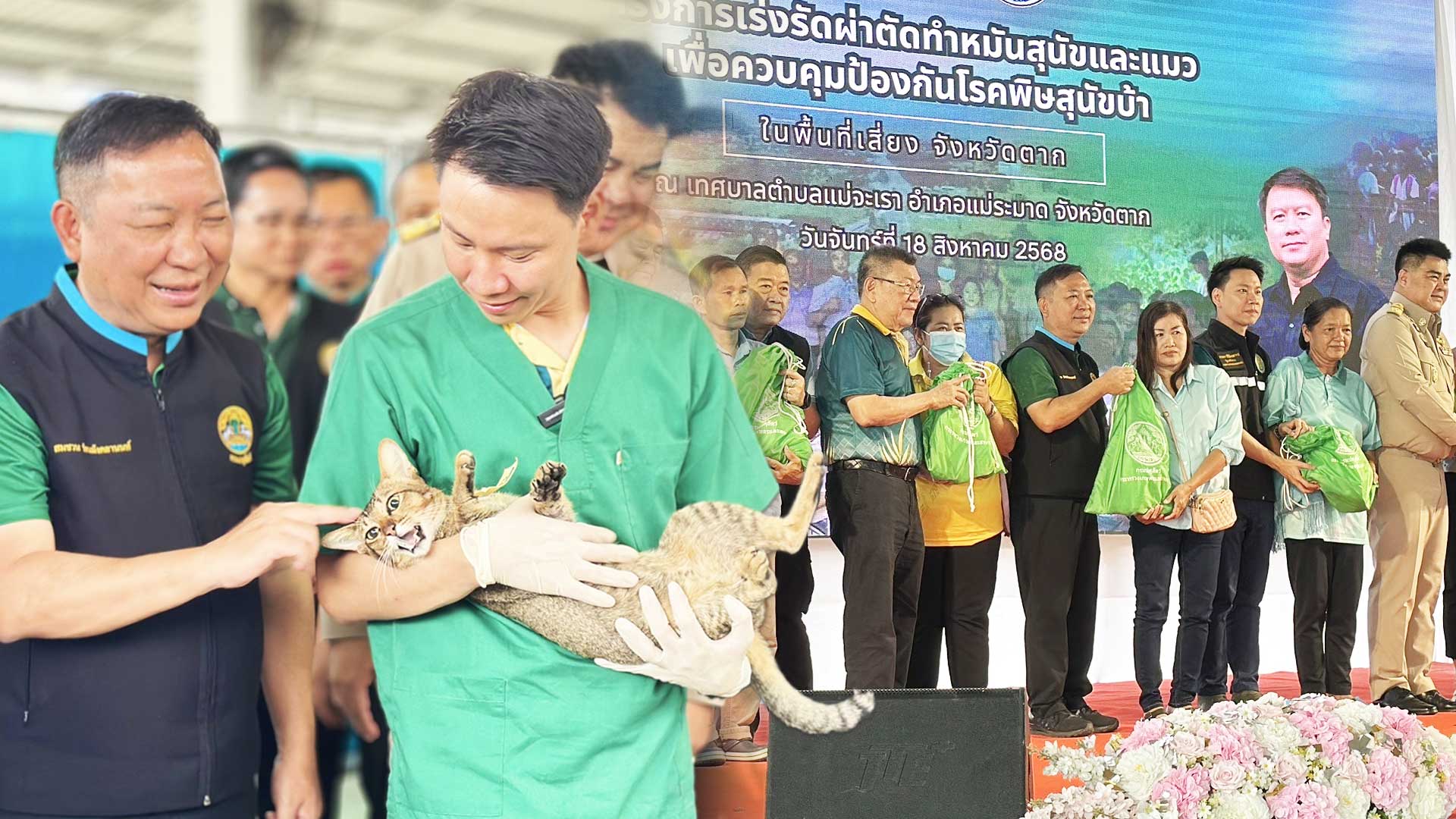 รัฐมนตรีว่าการกระทรวงเกษตรและสหกรณ์ เปิดโครงการเร่งรัดผ่าตัดทำหมันสุนัขและแมว เพื่อควบคุมป้องกันโรคพิษสุนัขบ้า ในพื้นที่เสี่ยงภายใต้โครงการสัตว์ปลอดโรค คนปลอดภัย จากโรคพิษสุนัขบ้า ตามพระปณิธาน สมเด็จพระเจ้าน้องนางเธอ เจ้าฟ้าจุฬาภรณวลัยลักษณ์ อัครราชกุมารี กรมพระศรีสวางควัฒน วรขัติยราชนารี 1 อรรถกร สวมบทหมอเบนซ์2