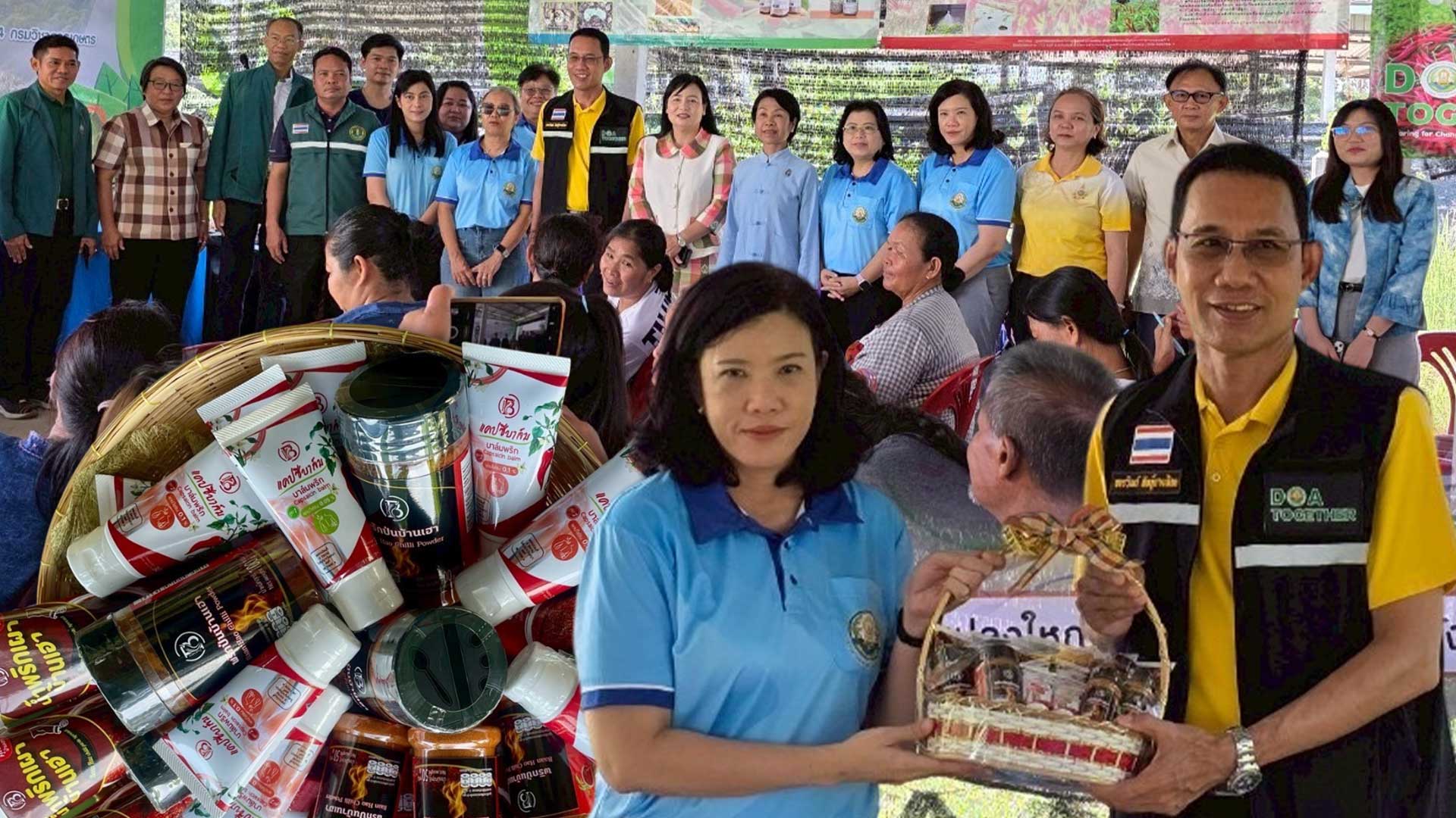 กรมวิชาการเกษตรหนุนเกษตรกรบ้านจานลาน พัฒนาผลิตภัณฑ์จากพริก สู่การผลิตเชิงพาณิชย์ เสริมแกร่งเศรษฐกิจชุมชน 1 เกษตรกรบ้านจานลาน3