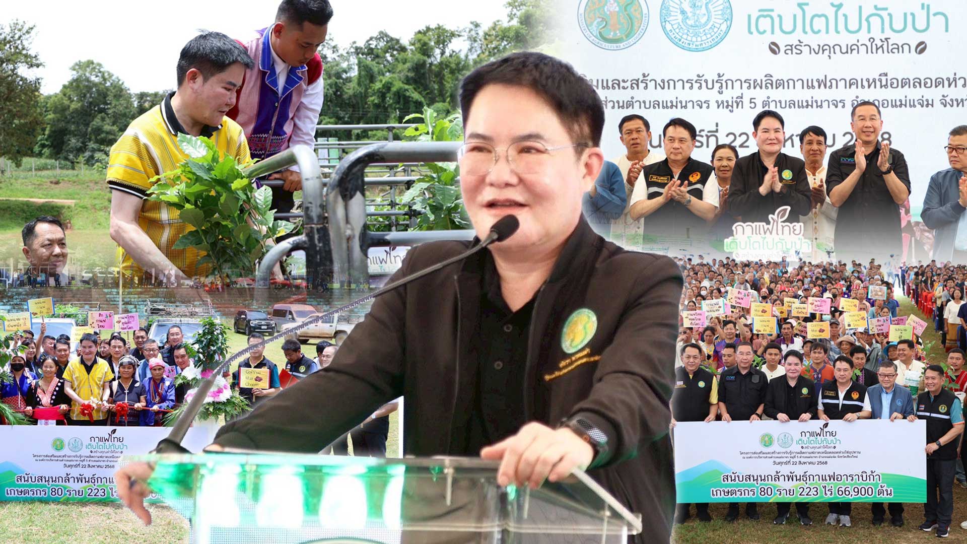 เกษตรฯ ยกระดับกาแฟไทย สู่การบรรลุเป้าหมาย 1,000 ไร่ ในปี 2570 1 เกษตรฯ ยกระดับกาแฟไทย2