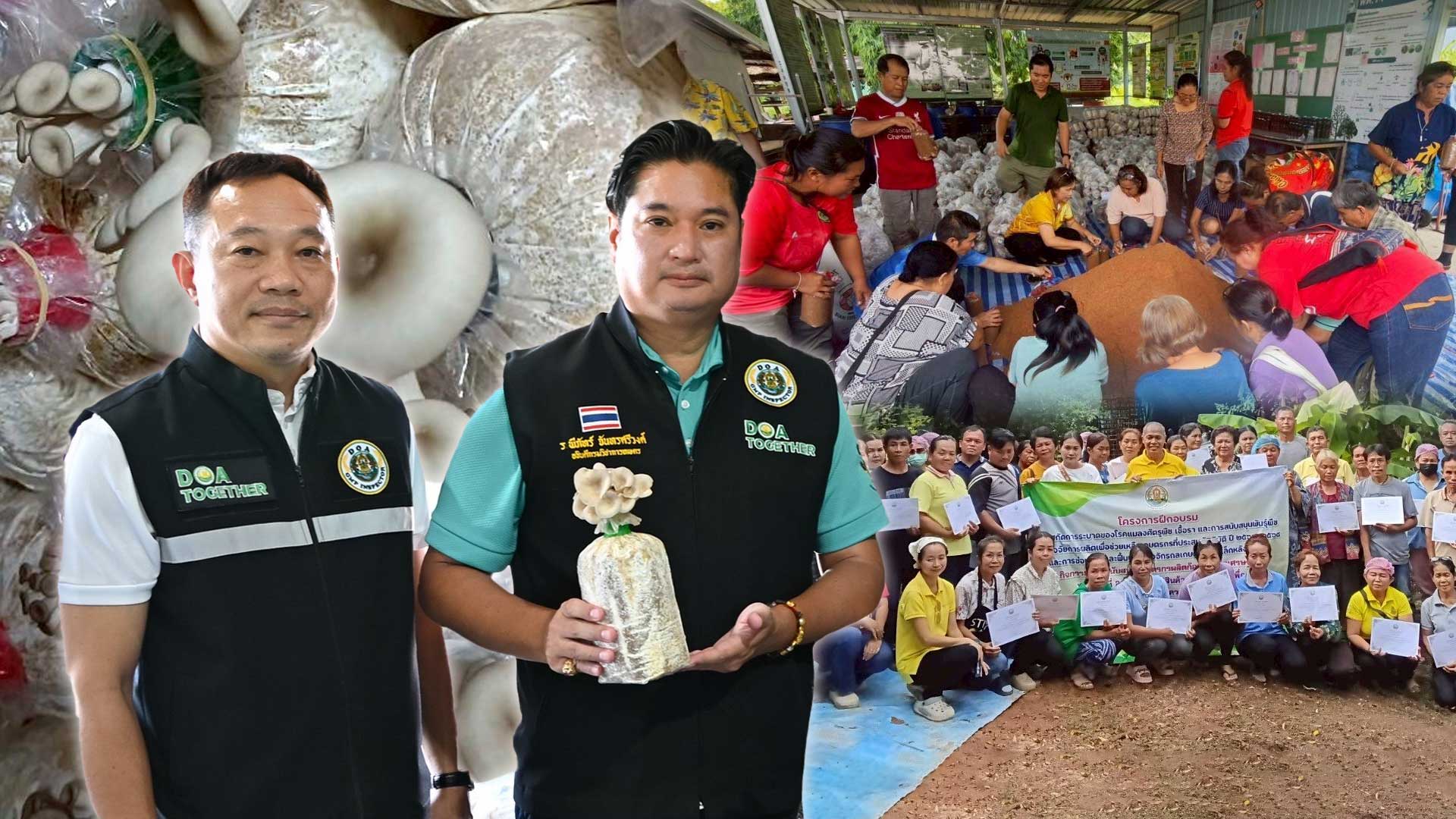 กรมวิชาการเกษตรเดินหน้าอบรมเกษตรกรผลิตเห็ดเศรษฐกิจภายใต้งบเยียวยาน้ำท่วม สอดรับนโยบาย รมว.เกษตร เดินหน้าอบรมเกษตรกรผลิตเห็ดเศรษฐกิจ2