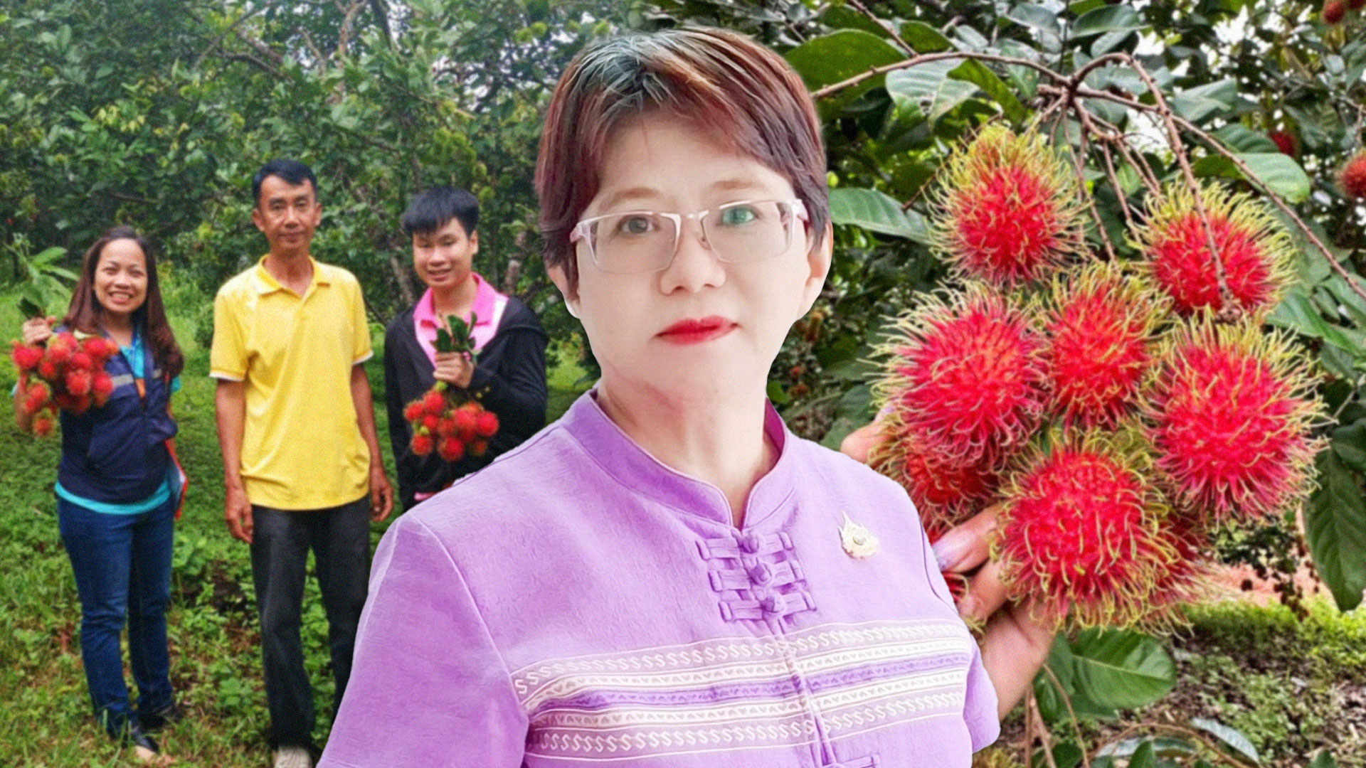 “แปลงใหญ่เงาะคุณภาพตำบลนางิ้ว” จ.หนองคาย ผลิตเงาะคุณภาพ สร้างรายได้กว่า 8.5 ล้านบาท/ปี เชื่อมโยงท่องเที่ยวเชิงเกษตรครบวงจร 1 แปลงใหญ่เงาะคุณภาพตำบลนางิ้ว2