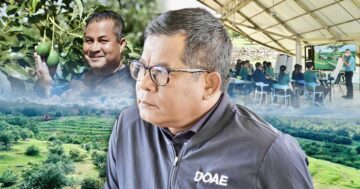 โรงเรียนเกษตรกรอะโวคาโด2