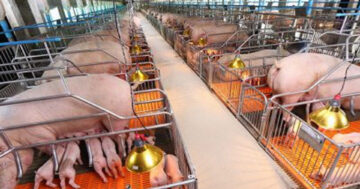 โรงเรือนแบบปิด2ออ