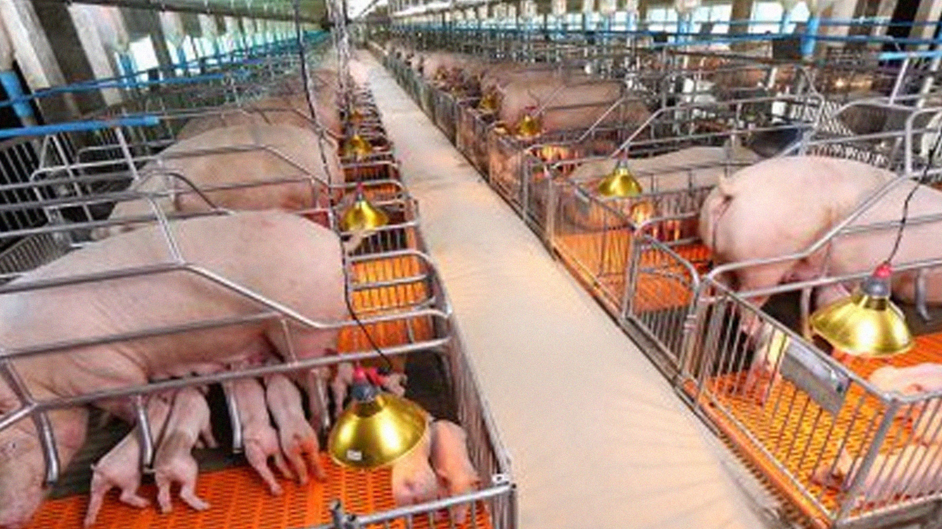 โรงเรือนแบบปิด2ออ