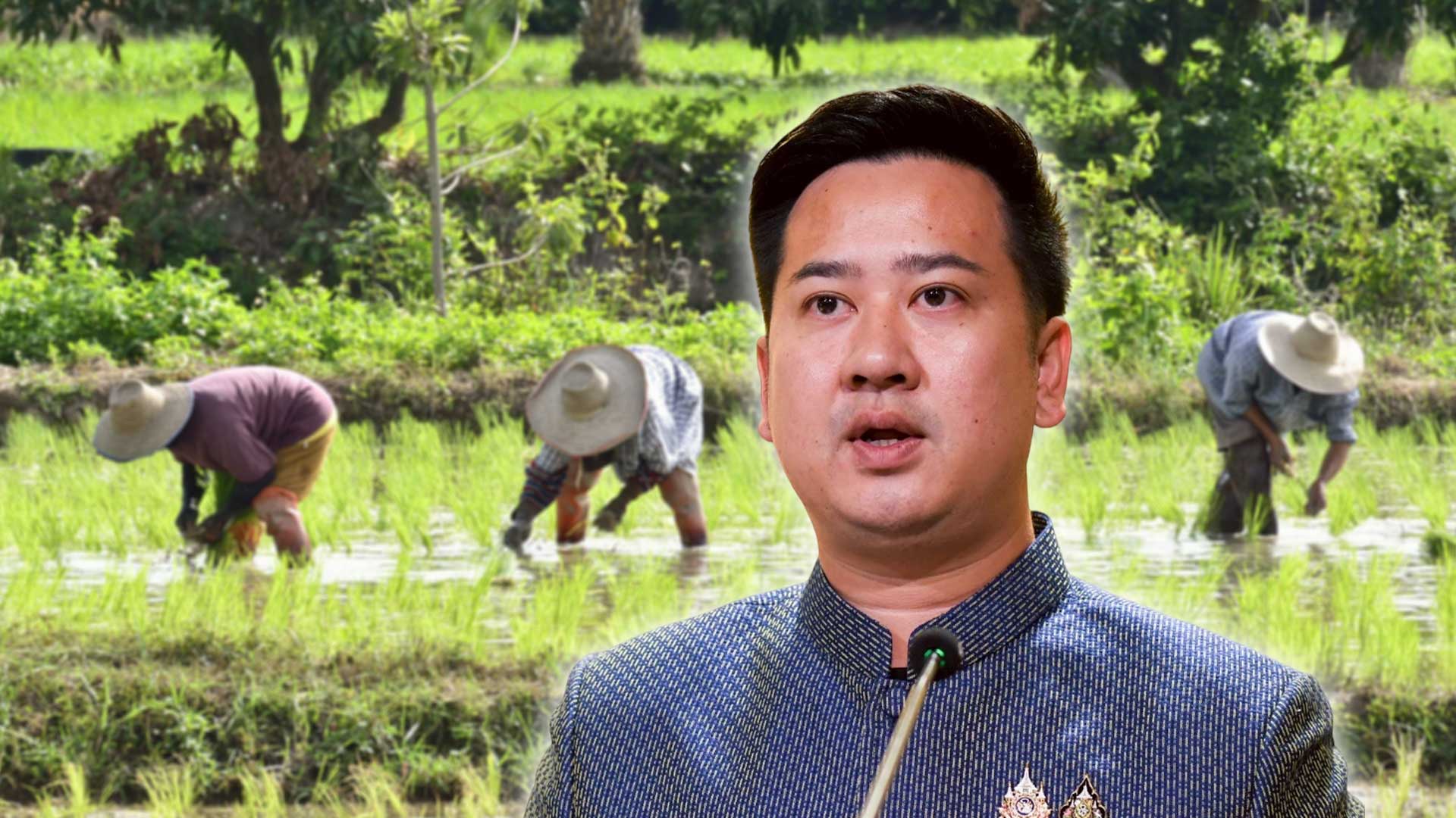 ไร่ละพัน รัฐบาลย้ำ เกษตรกรเร่งขึ้นทะเบียนและปรับปรุงข้อมูลทางทะเบียนปีการผลิต 2568/69 พร้อมรอรับเงินช่วยเหลือตามนโยบายรัฐบาล 1 ไร่ละพัน3