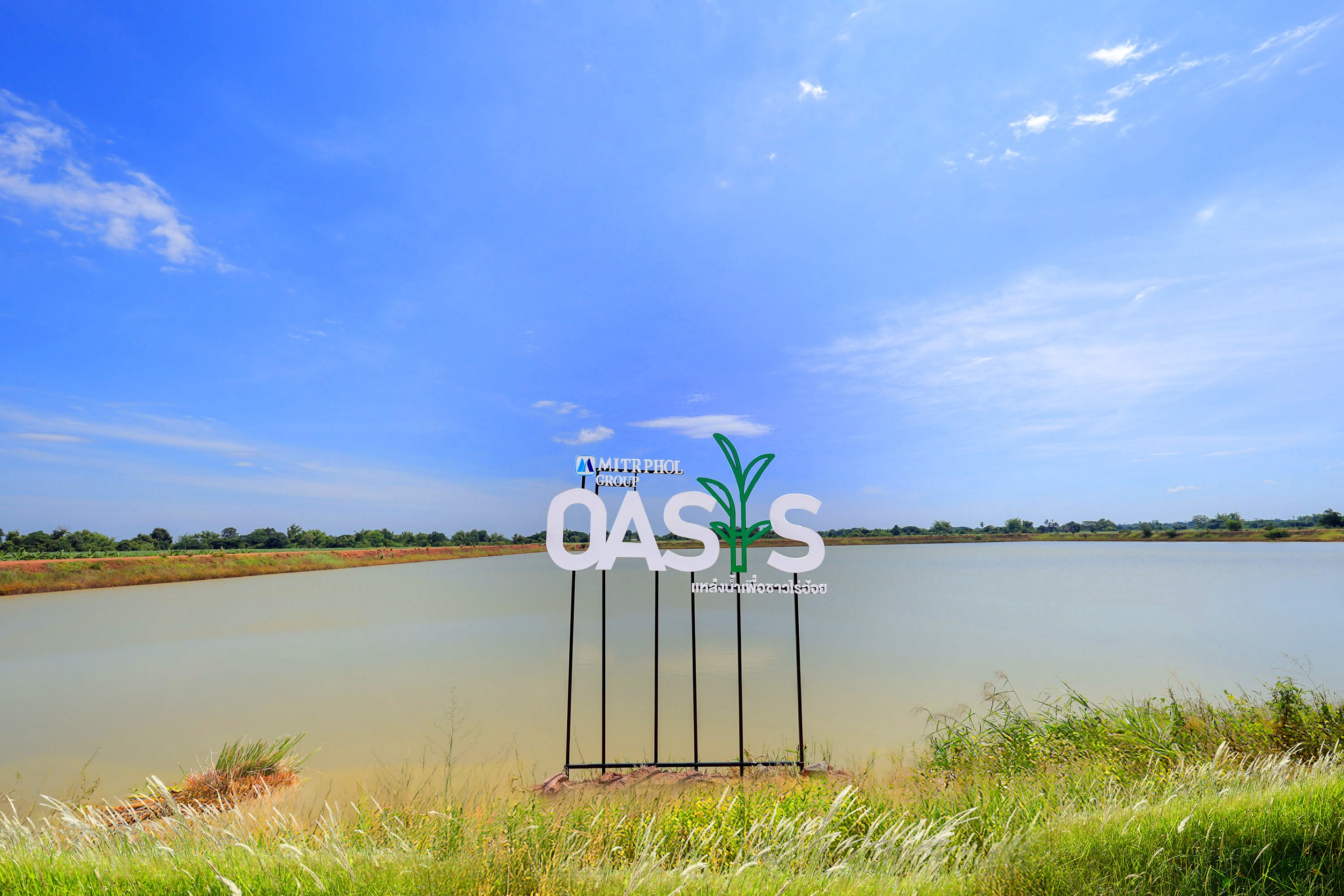 จากความแห้งแล้ง สู่ความหวังใหม่ “มิตรผล โอเอซิส”พลิกวิกฤตน้ำด้วย “โอเอซิสเพื่อการเกษตร” สร้างความยั่งยืนของเกษตรกรไทย 6 01 มิตรผล โอเอซิส