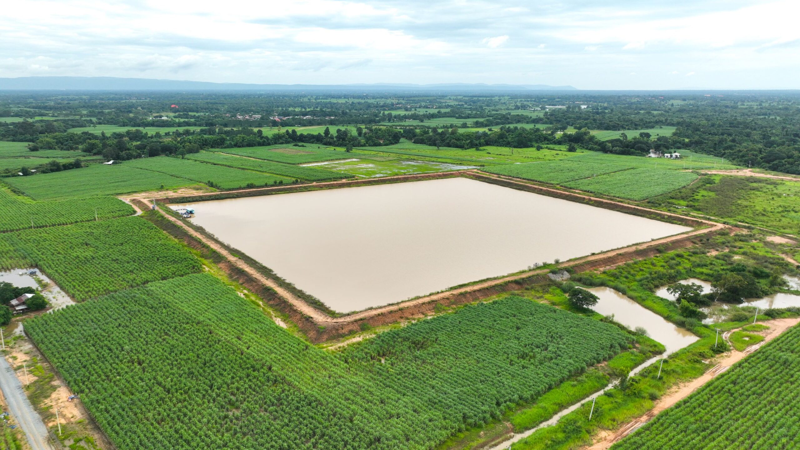 จากความแห้งแล้ง สู่ความหวังใหม่ “มิตรผล โอเอซิส”พลิกวิกฤตน้ำด้วย “โอเอซิสเพื่อการเกษตร” สร้างความยั่งยืนของเกษตรกรไทย 7 03 มิตรผล โอเอซิส มุมสูง scaled