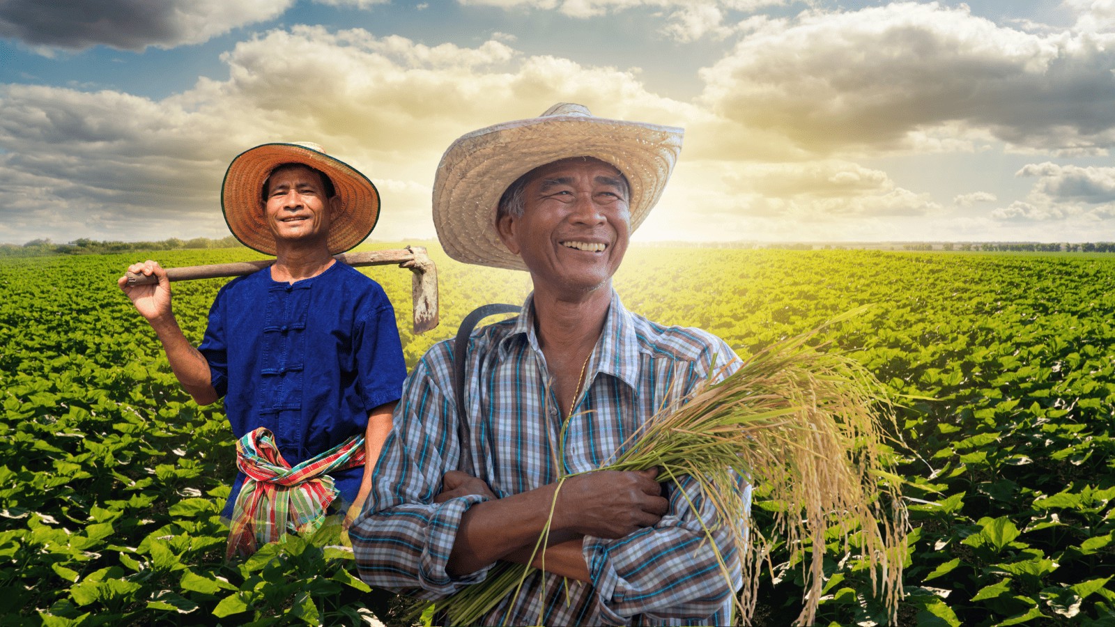 เปิด 5 มิติความสุขเกษตรกรไทยปี 67 อยู่ที่ระดับ 81.39 ภาคใต้ครองแชมป์ความสุข ชี้ สุขอนามัยและสังคมพัฒนาดีมาก แต่สิ่งแวดล้อมและการศึกษายังต้องเร่งเครื่อง 3 2025041731444cb862f5b807539ea3b9cd67e08b091858