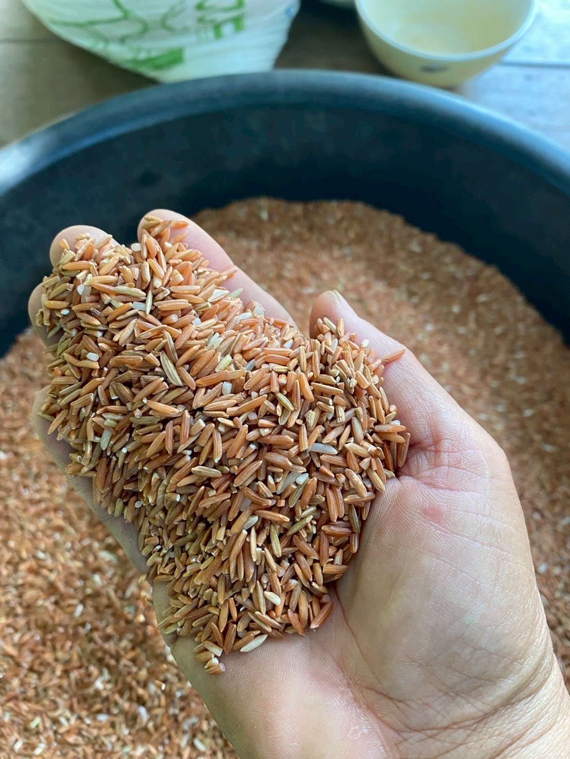 กรมทรัพย์สินทางปัญญา เดินหน้าขึ้นทะเบียน GI “ข้าวไร่หอมหัวบอนกระบี่” กลิ่นหอมเผือกเฉพาะตัว เอกลักษณ์โดดเด่น สร้างรายได้ให้ชุมชนกว่า 66 ล้านบาท 2 20250925c4ca4238a0b923820dcc509a6f75849b094954