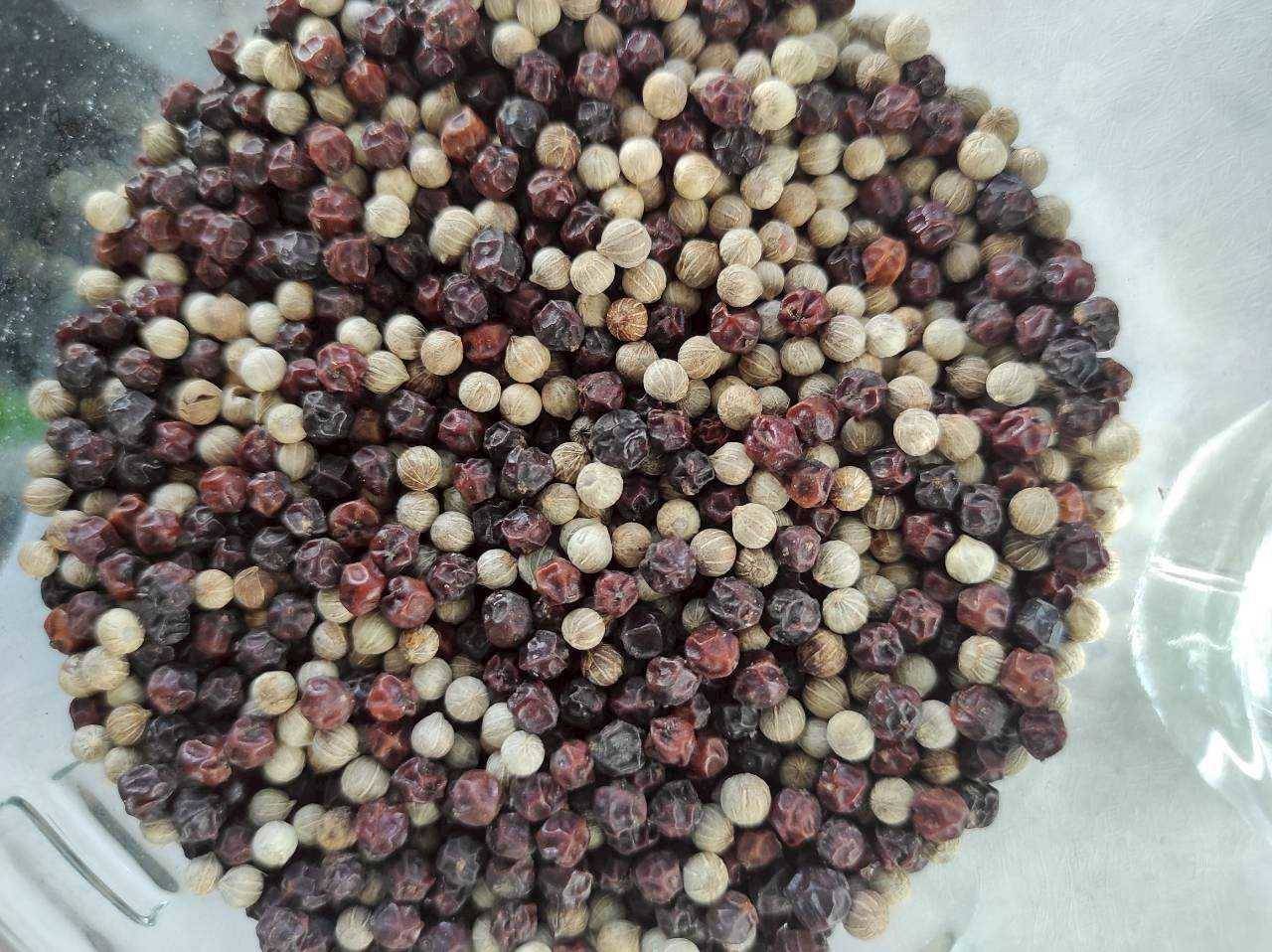 พริกไทย ราคาดีต่อเนื่อง ตลาดต้องการ สศก. คาด ผลผลิตปี 69 รวม 326 ตัน ให้ผลผลิตต่อไร่สูงขึ้น 3 300629 0