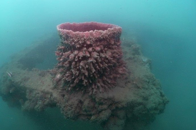 กรมประมง…เผยผลสำเร็จโครงการจัดสร้างแหล่งอาศัยสัตว์ทะเลคืนความสมบูรณ์สู่ระบบนิเวศ ฟื้นชีวิตใหม่ให้ท้องทะเลไทย 6 38887