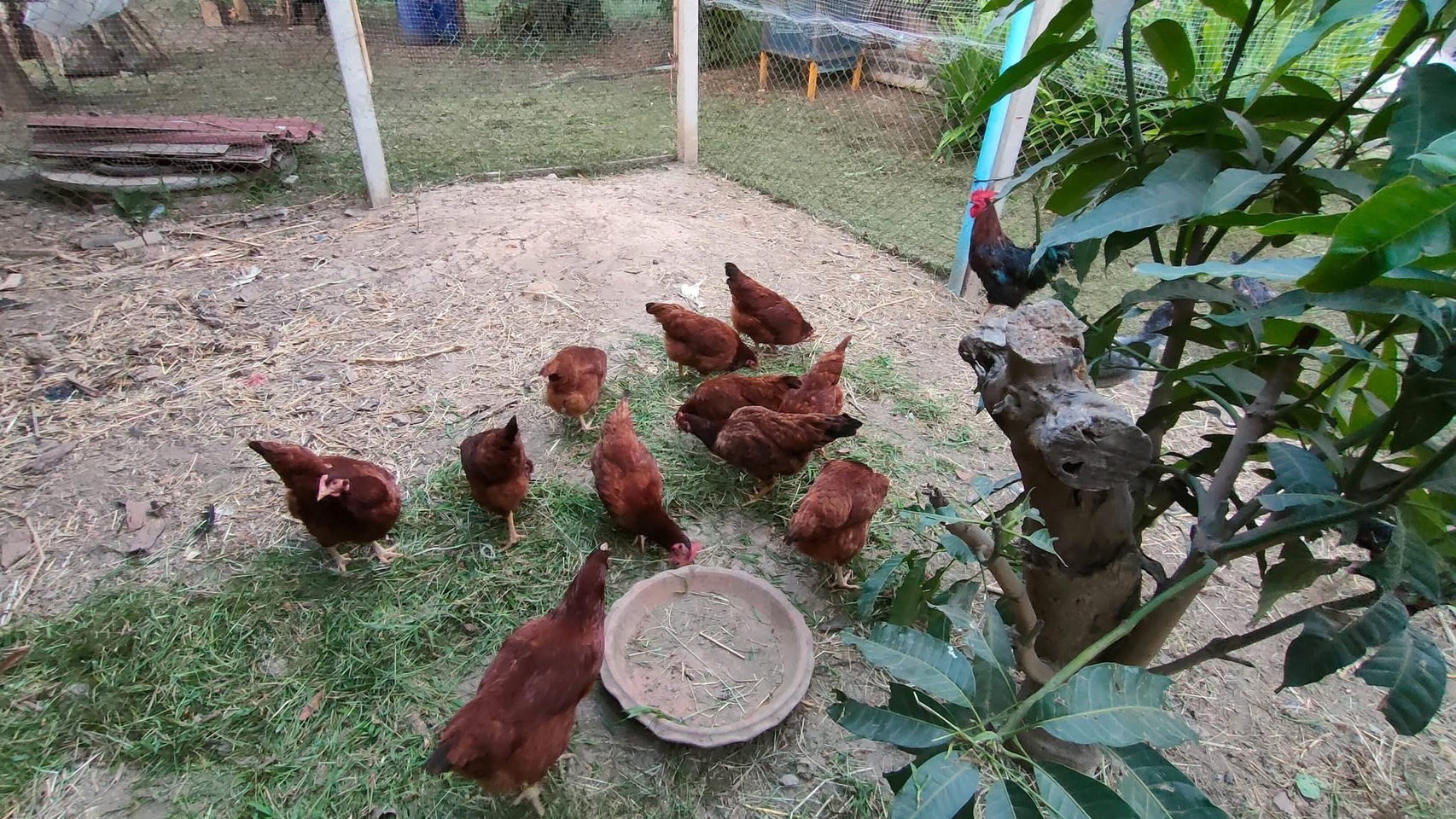 สศท.12 ชวนศึกษาวิถีเกษตรอินทรีย์ 3 0 1