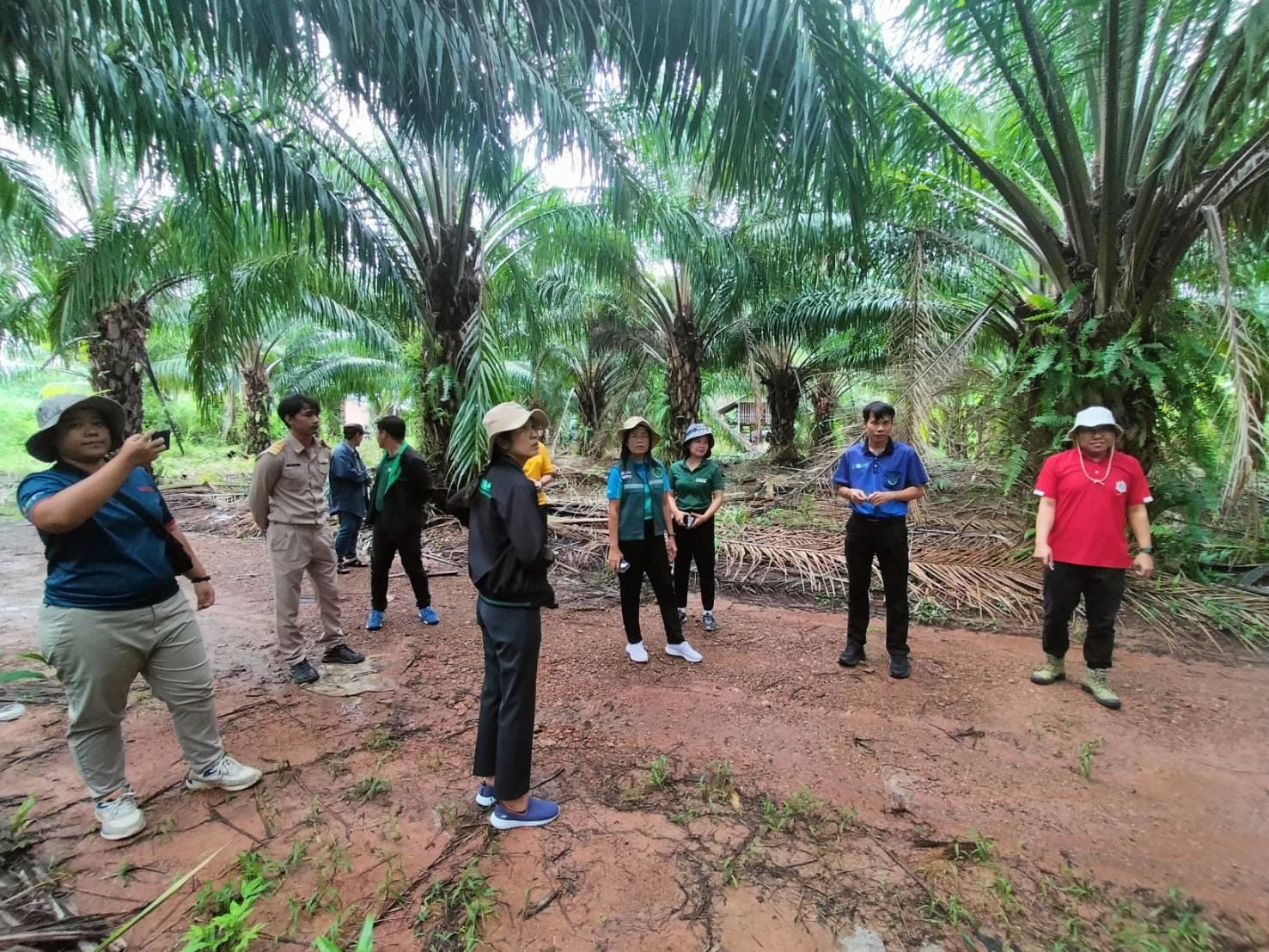 กรมส่งเสริมการเกษตรเร่งขับเคลื่อน “ฐานข้อมูลแปลงเกษตรดิจิทัล Geoplots”หนุนเกษตรไทยสู้ตลาดโลก–รับมือ EUDR 4 485795782 1042479194578644 1557629887225899977 n