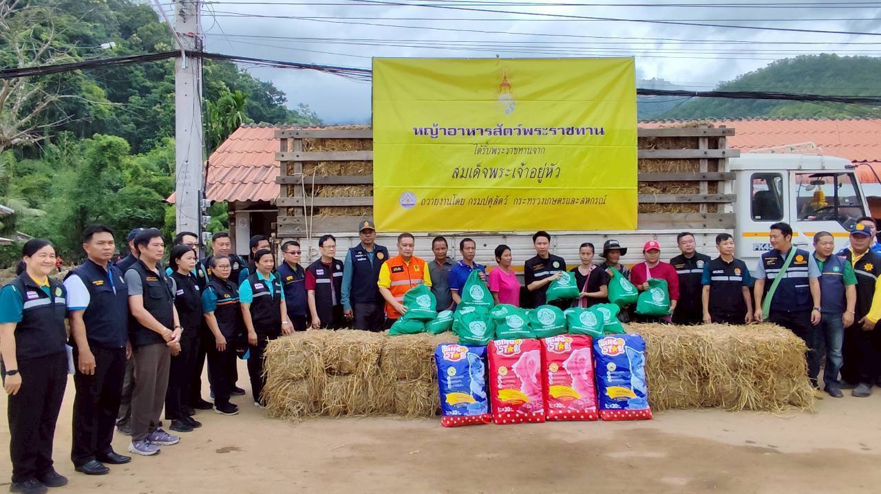 กรมปศุสัตว์เร่งช่วยเหลือผู้เลี้ยงสัตว์ที่ได้รับผลกระทบจากพายุ “คาจิกิ” อย่างเต็มที่ 4 486317