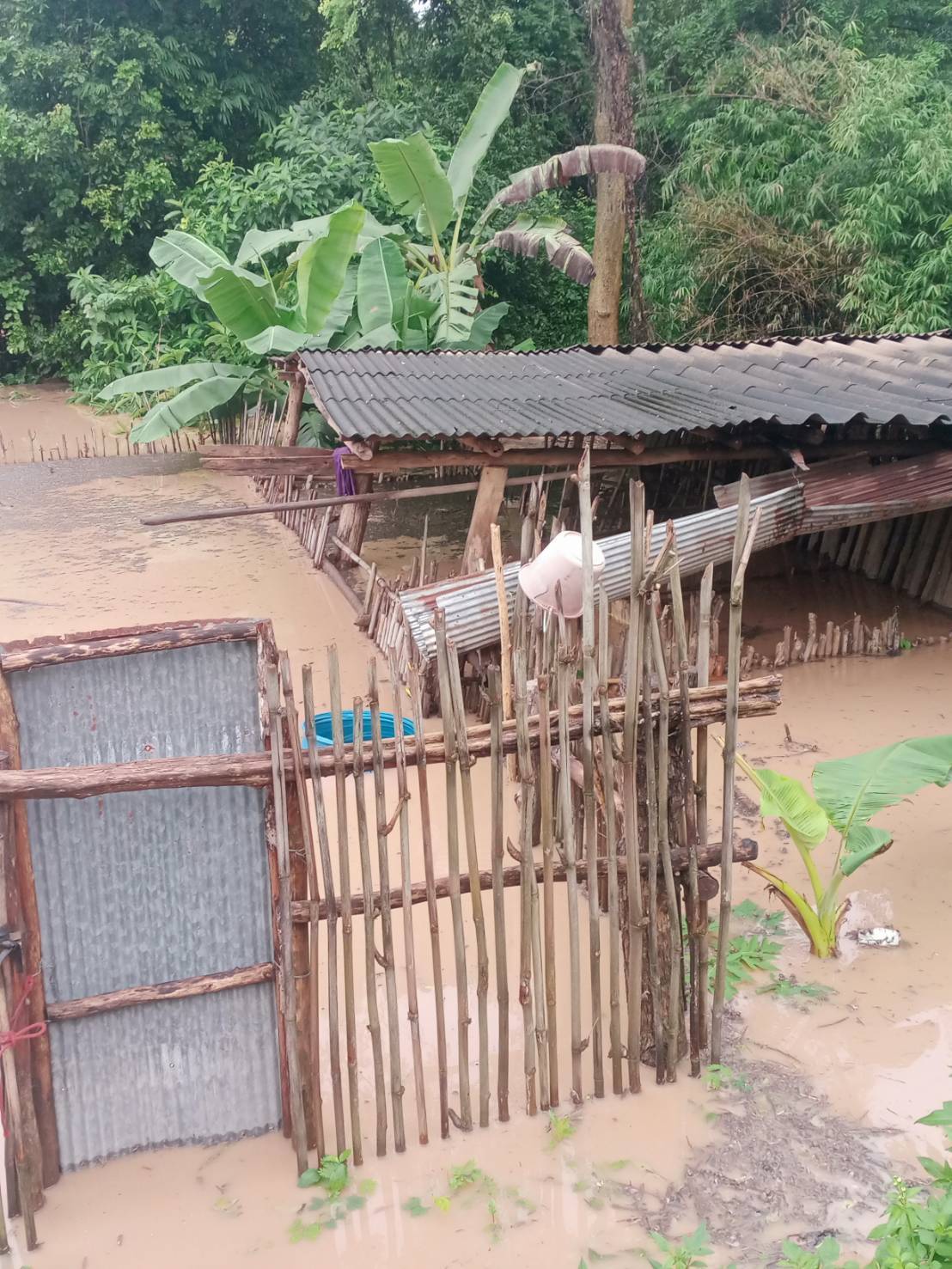 กรมปศุสัตว์เร่งช่วยเหลือผู้เลี้ยงสัตว์ที่ได้รับผลกระทบจากพายุ “คาจิกิ” อย่างเต็มที่ 10 486368