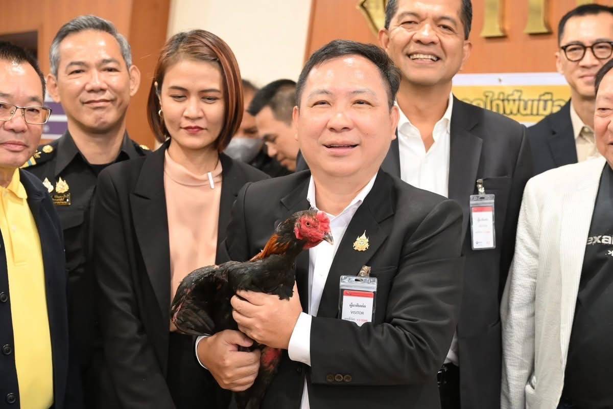 ส่งออกไก่พื้นเมืองไทย “Ayam Bangkok” ไปอินโดฯ โตต่อเนื่อง มูลค่า 4 ล้านบาท 2 489083