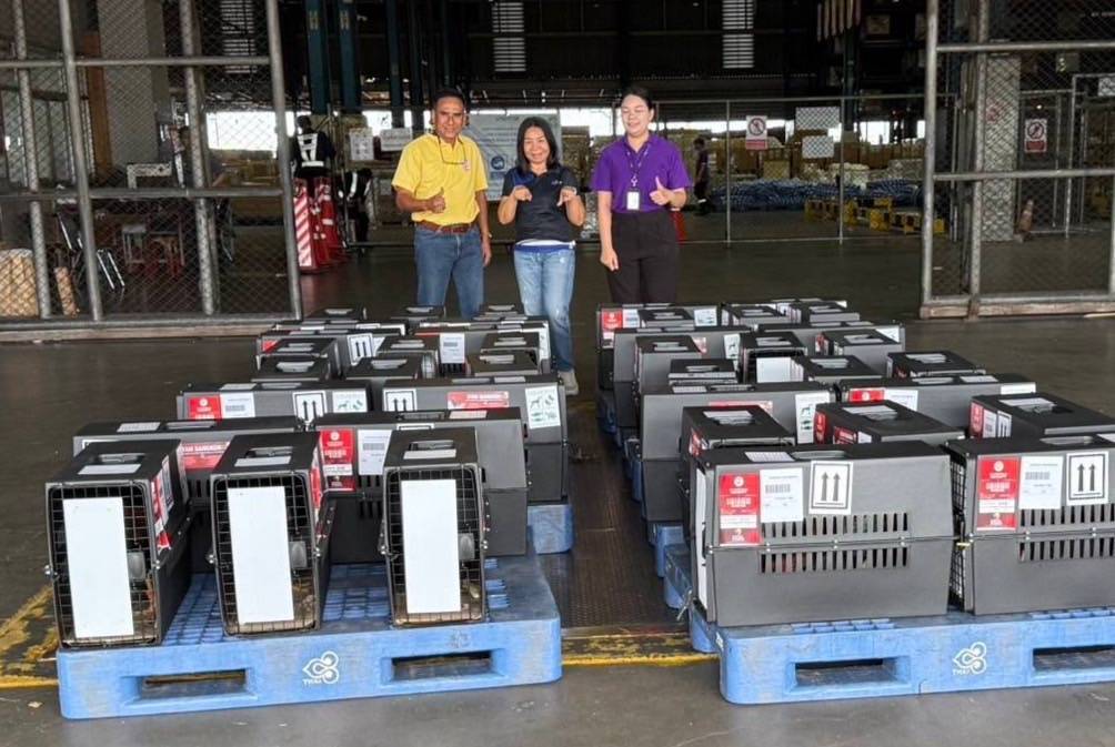 ส่งออกไก่พื้นเมืองไทย “Ayam Bangkok” ไปอินโดฯ โตต่อเนื่อง มูลค่า 4 ล้านบาท 4 489085