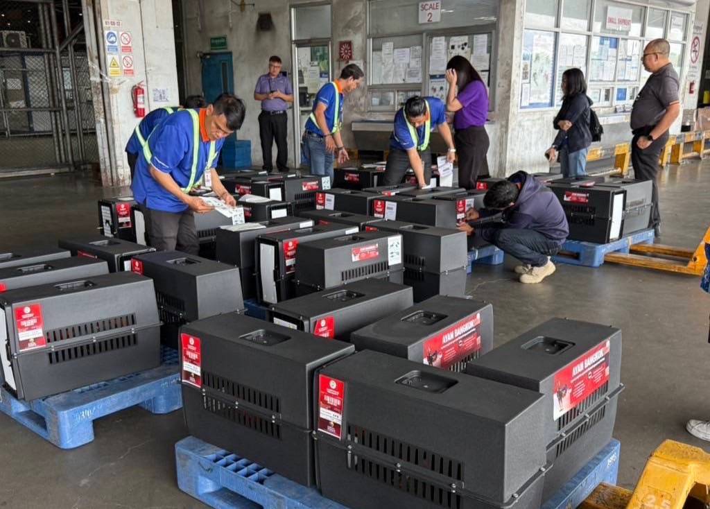 ส่งออกไก่พื้นเมืองไทย “Ayam Bangkok” ไปอินโดฯ โตต่อเนื่อง มูลค่า 4 ล้านบาท 5 489086