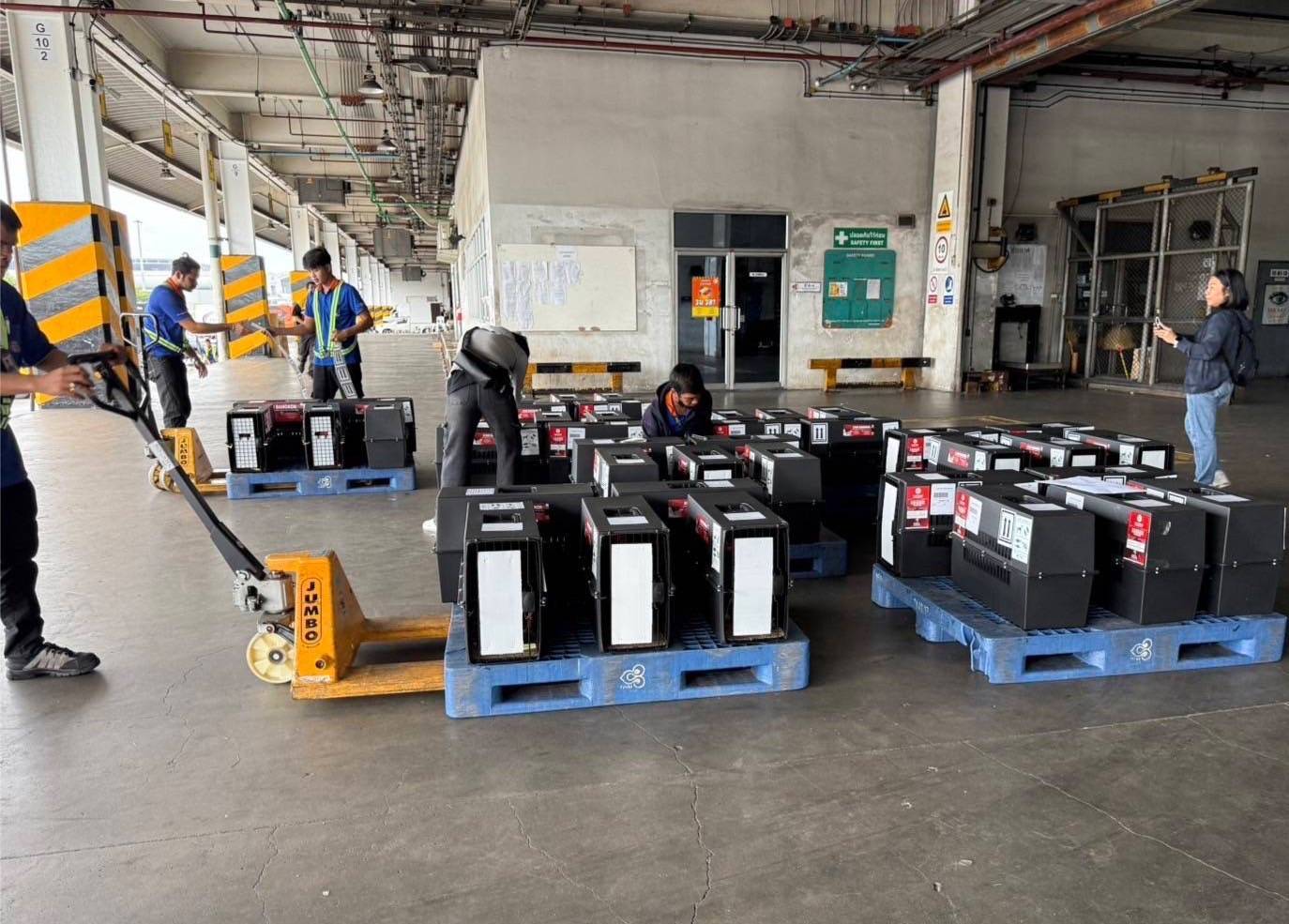 ส่งออกไก่พื้นเมืองไทย “Ayam Bangkok” ไปอินโดฯ โตต่อเนื่อง มูลค่า 4 ล้านบาท 6 489088