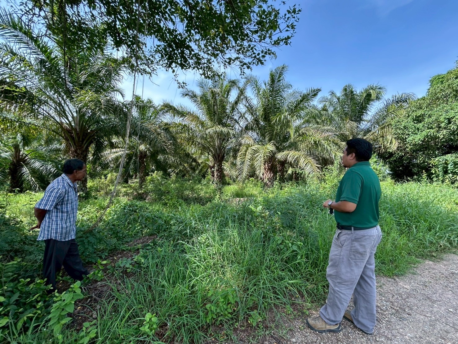 กรมส่งเสริมการเกษตรเร่งขับเคลื่อน “ฐานข้อมูลแปลงเกษตรดิจิทัล Geoplots”หนุนเกษตรไทยสู้ตลาดโลก–รับมือ EUDR 6 503988574 1016711647314395 471130075483227483 n