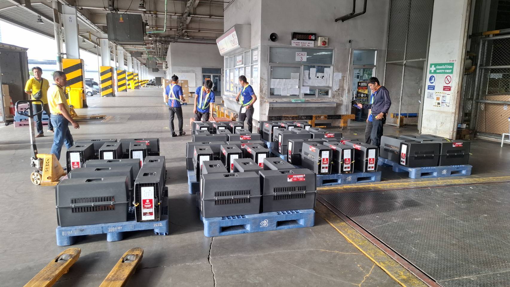 ปศุสัตว์ปลื้ม ดันส่งออก “Ayam Bangkok” ไทยแลนด์สู่อินโดนีเซีย เพิ่มจำนวนต่อเนื่อง 7 512696